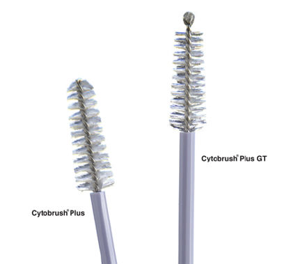 Picture of Cytology Brush Cytobrush® Plus GT 196 mm LengthC0305