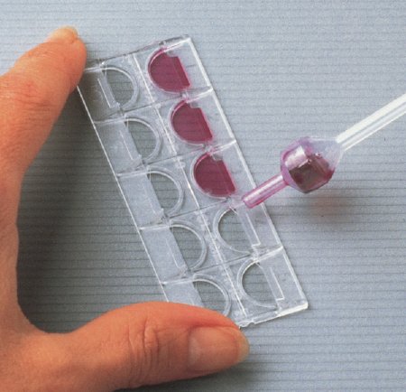 Picture of Urinalysis Microscope Slide Kova® Glasstic® Slide 10 10-Chamber Clear87157