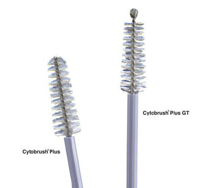 Picture of Cytology Brush Cytobrush® Plus 196 mm Length NonSterileC0004