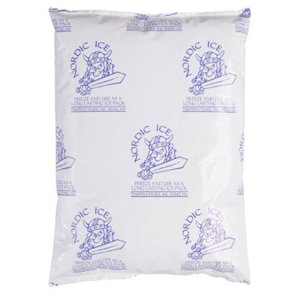 Picture of COLD PACK, GEL 48OZ 101/2"X7 1/2"X1. 1/4" (12/CS)NI48