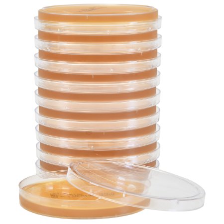 Picture of Prepared Media Malt Extract Agar Light Amber Deep Fill Plate FormatW28