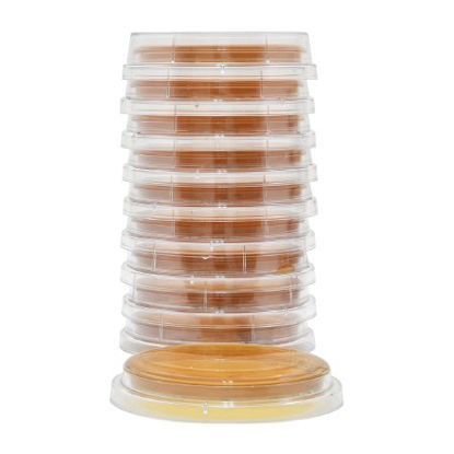 Picture of Prepared Media Malt Extract Agar with Lecithin and Tween Mono-Plate FormatP93