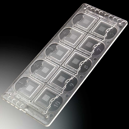 Picture of Microscope Precision Grid Slide McKesson 10-Chamber Plain177-3800