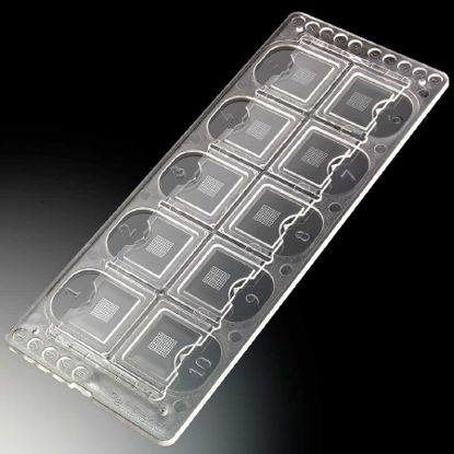 Picture of Microscope Precision Grid Slide McKesson 10-Chamber Plain177-3800