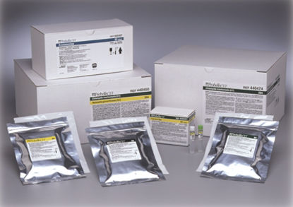 Picture of Reagent Kit BD ProbeTec™ Infectious Disease Immunoassay Chlamydia Trachomatis / Neisseria Gohorrhoeae (CT / NG) For BD Viper™ Instrument 1,152 Tests 1,152 Tests441126
