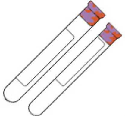 Picture of BD Vacutainer® Venous Blood Collection Tube Set K3 EDTA Additive 13 X 100 mm / 16 X 100 mm 7 mL / 10 mL Lavender / Red Conventional Closure Glass Tube366401