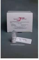 Picture of Rapid Test Kit Syphilis Health Check™ Infectious Disease Immunoassay Syphilis Screen Whole Blood / Serum / Plasma Sample 20 TestsVSC-11-01