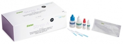 Picture of Rapid Test Kit BioStrep® A Infectious Disease Immunoassay Strep A Test Throat Swab Sample 30 TestsBSP-185