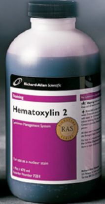 Picture of Hematoxylin Stain (2) Richard-Allan Scientific™ Signature Series™ 16 oz.7231