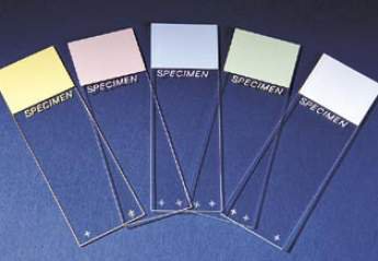 Picture of Microscope Slide Superfrost® Plus 25 X 75 mm Frosted End4951PLUS-001