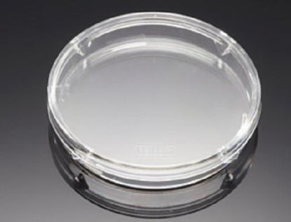 Picture of Petri Dish Falcon® Polystyrene351007