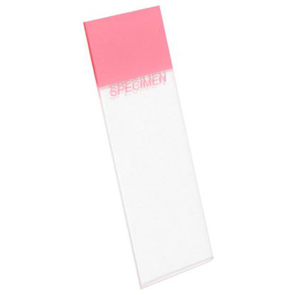 Picture of Microscope Slide Superfrost® Colorfrost® Plus 25 X 75 X 1 mm Pink Frosted End7951+