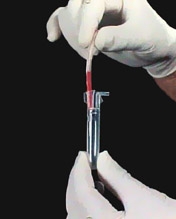 Picture of Seg-Safe™ Test Tube Segment Processor Plain 12 X 75 mm 5 mL Without Color Coding Without Closure Plastic Tube201