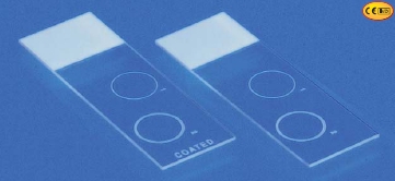 Picture of Microscope Slide Shandon™ Double Cytoslide™ 25 X 75 mm Frosted End, Double Circle, Coated5991055