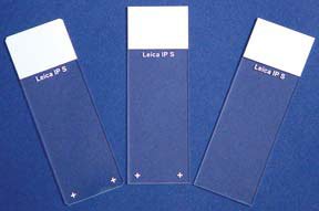 Picture of Microscope Slide Superfrost™ Plus Frosted End22042924