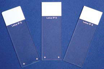 Picture of Microscope Slide Superfrost™ Plus Frosted End22042924