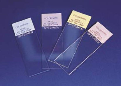Picture of Microscope Slide Colormark™ Plus White Front / Black BackCM-4951WPLUS-001