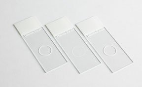 Picture of Microscope Slide Shandon™ Single Cytoslide™ 25 X 75 mm Frosted End, Single Circle, Coated12070266
