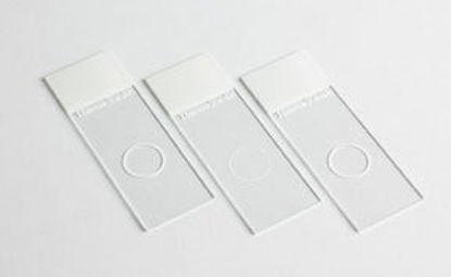 Picture of Microscope Slide Shandon™ Single Cytoslide™ 25 X 75 mm Frosted End, Single Circle, Coated12070266