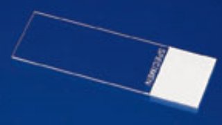 Picture of Microscope Slide Superfrost® 25 X 76 X 1.2 mm Frosted End12550133