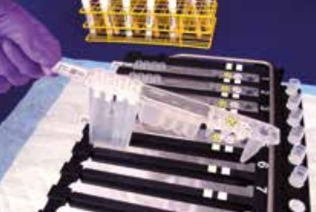 Picture of Reagent Kit BD MAX™ Staph SR Molecular Diagnostic Staphylococcus Aureus DNA For BD MAX™ System 24 Tests443419