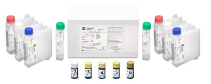 Picture of Reagent Kit with Calibrator AU® Diabetes Management Hemoglobin A1c (HbA1c) For AU400/AU480, AU640/640e/680, AU2700 /AU5400 and AU5800 Analyzers 432 Tests R1 HbA1c: 2 X 37.5 mL; R2 HbA1c: 2 X 7.5 mL, R1 Total Hemoglobin 2 X 34.5 mLB00389