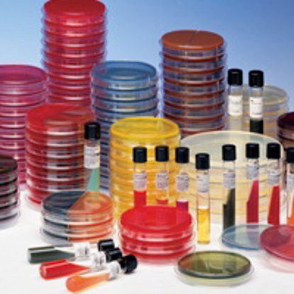 Picture of Prepared Media BD BBL™ Chocolate II Agar Dark Brown Mono-Plate Format221267