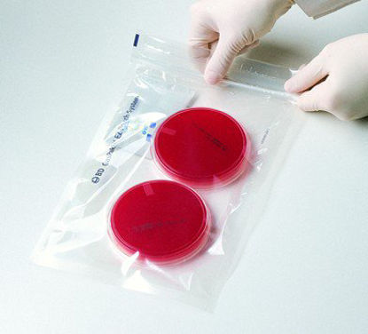 Picture of Anaerobe Pouch System BD Gaspak™260683
