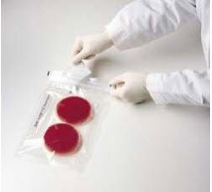 Picture of EZ Campy Pouch System GasPak™ For EZ Container System260685