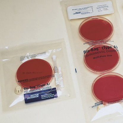 Picture of Environmental Chamber Bag Bio-Bag™ Translucent, Includes CO2 Gas Generators, Resealable Medias261510