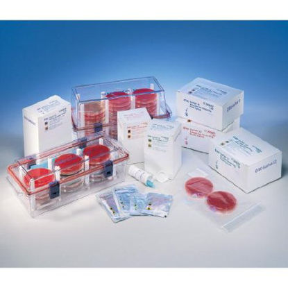 Picture of Gas Generating Pouch System GasPak™ EZ CO2260684