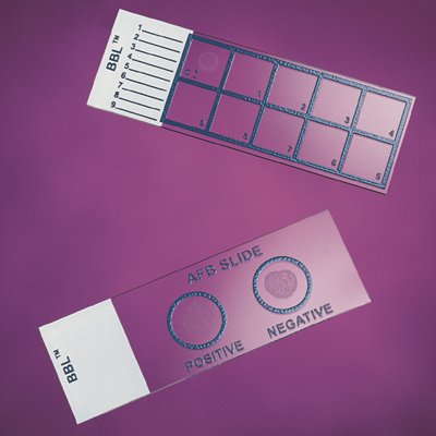 Picture of Gram Stain Control Slide BD BBL™ 1 X 3 Inch231401