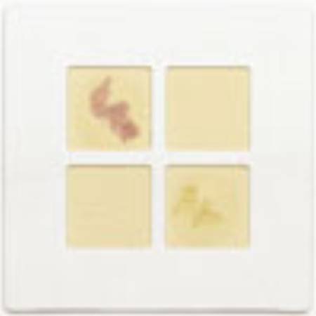 Picture of Rapid Test Kit DrySlide™ Microbial Identification Nitrocefin Culture Sample 25 Test Slides231749