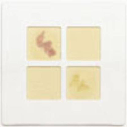Picture of Rapid Test Kit DrySlide™ Microbial Identification Nitrocefin Culture Sample 25 Test Slides231749