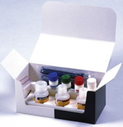 Picture of Reagent CLA® Allergen-Specific IgE Assay Allergen Test Eastern Panel Allergens For CLA-1™ Luminometer 20 Tests 1.4 mL Serum84502