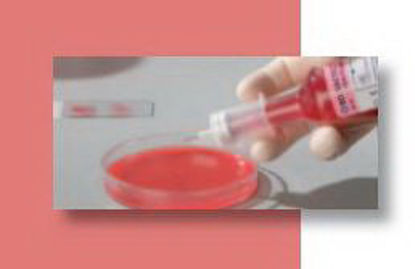 Picture of Subculture Aerobic Venting Unit Bactec™ 50 Species249560