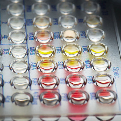 Picture of Positive Combo 34 Panel Amoxicillin/K Clavulanate, Ampicillin, Ampicillin/Sulbactam, Cefazolin, Cefoxitin Screen, Ciprofloxacin, Clindamycin, Daptomycin, Erythromycin, Gentamicin, Gentamicin Synergy Screen, Inducible Clindamycin Test, Levofloxacin, Linezolid, Moxifloxacin, Nitrofurantoin, Oxacillin, Penicillin, Rifampin, Streptomycin Synergy Screen, Synercid, Tetracycline, Trimethoprim/Sulfamethoxazole, VancomycinB1017-214