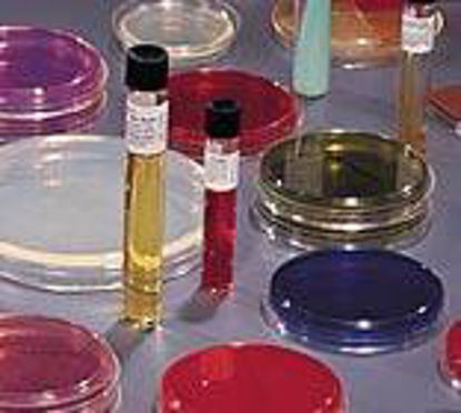 Picture of Prepared Media BD BBL™ Mycoflask™ Urea Agar, Complete (Christensen) Slant Tube Format221096