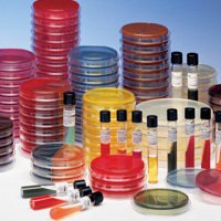 Picture of Prepared Media BD BBL™ Mueller Hinton II Agar Mono-Plate Format221275