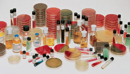 Picture of Prepared Media BD BBL™ Mycoflask™ Normal Saline Pour Tube Format221819