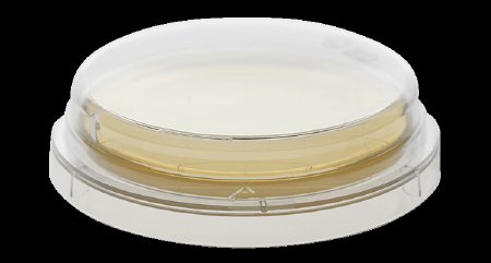 Picture of Prepared Media BD BBL™ Sabouraud Dextrose Agar Mono-Plate Format221235