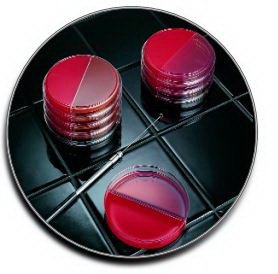 Picture of Prepared Media BD BBL™ I Plate™ Trypticase™ Soy Agar (TSA II™) with 5% Sheep Blood / Levine EMB Agar Dark Red Bi-Plate Format221286