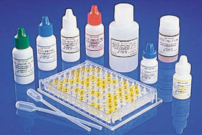 Picture of Test Kit Premier® EHEC Enzyme Immunoassay (EIA) E. Coli Shiga Toxins Stool Sample 96 Tests608096