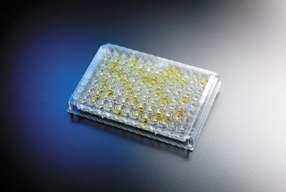 Picture of Test Kit Premier® Adenoclone® ELISA Adenovirus Type 40 / 41 Stool Sample / Culture Sample 48 Tests696006