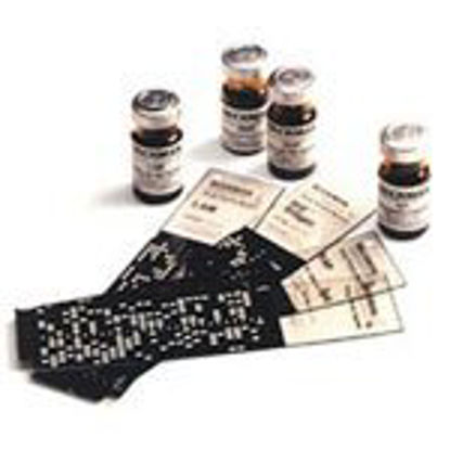 Picture of Calibrator Urine Protein 4 X 3 mL For ARRAY and ARRAY 360 Analyzers Ready-to-Use441470