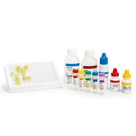 Picture of Reagent Kit Lactoferrin SCAN® ELISA Lactoferrin For Manual Processing or Automated on Dynex Automated Systems30351