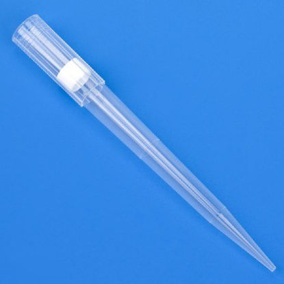 Picture of Filter Pipette Tip 1 to 1,000 µL Graduated Sterile150835