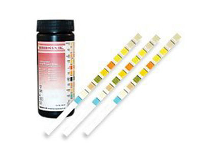 Picture of Test Kit Detector UA™ Urinalysis Bilirubin, Blood, Glucose, Ketone, Leukocytes, Nitrite, pH, Protein, Specific Gravity, Urobilinogen Urine Sample 100 TestsIDU-10