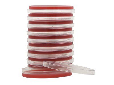 Picture of Prepared Media Columbia Naladixic Acid (CAN) Agar Red Petri Plate FormatA50