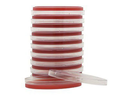 Picture of Prepared Media Columbia Naladixic Acid (CAN) Agar Red Petri Plate FormatA50